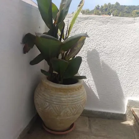Holiday home Archontarikia Luxury